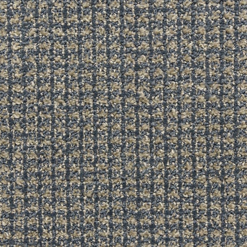 Alpha carpet by Masland