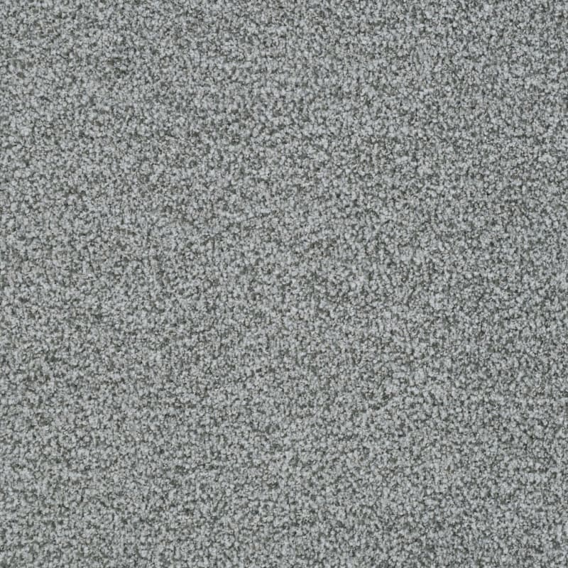 St. Augustine carpet by Masland