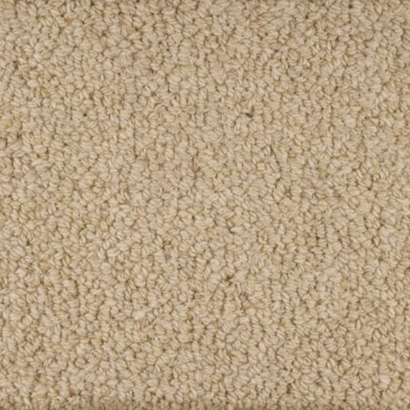 Wexford carpet by Masland