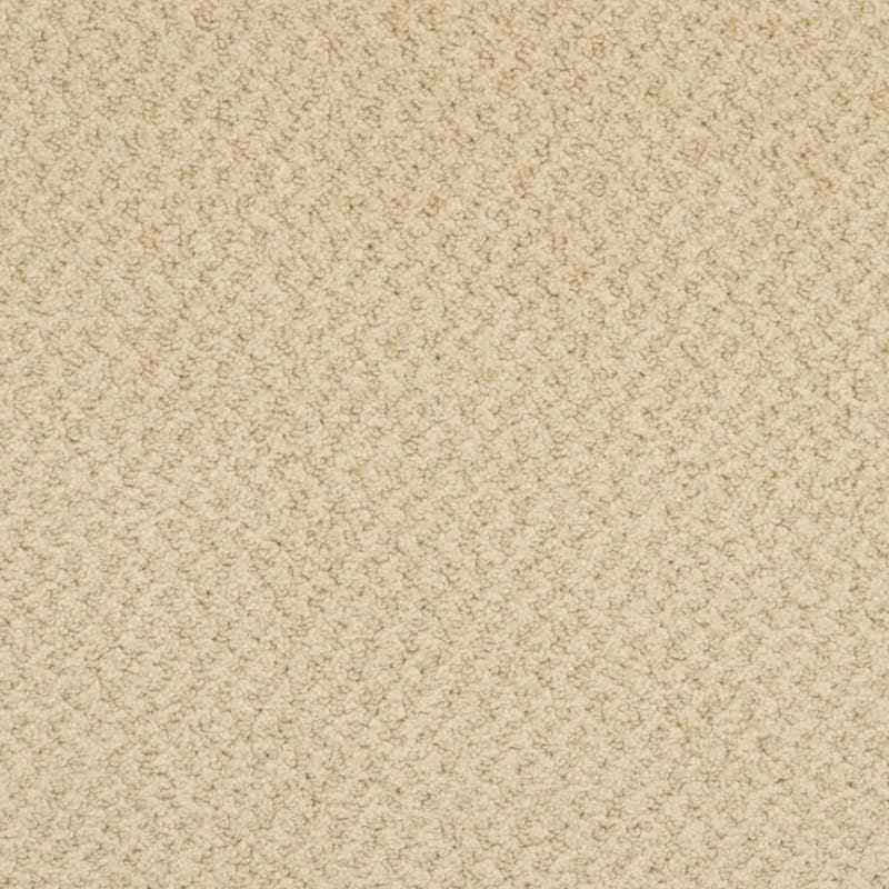 New Hope carpet by Masland