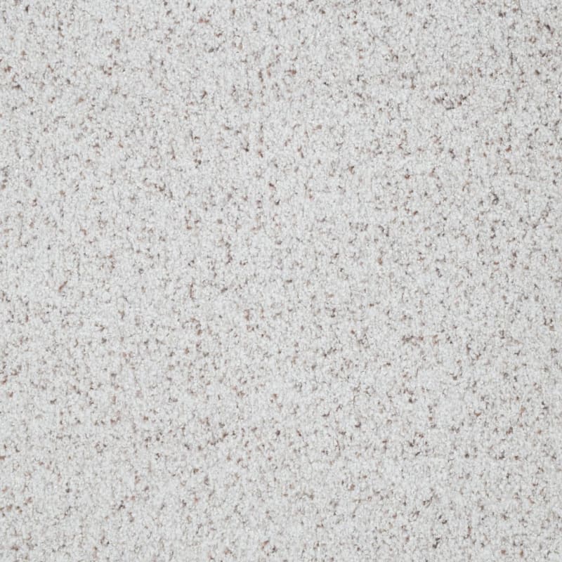 St. Augustine carpet by Masland