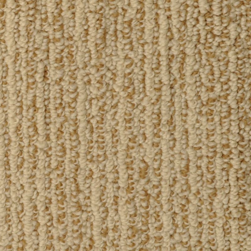 Rivulet carpet by Masland