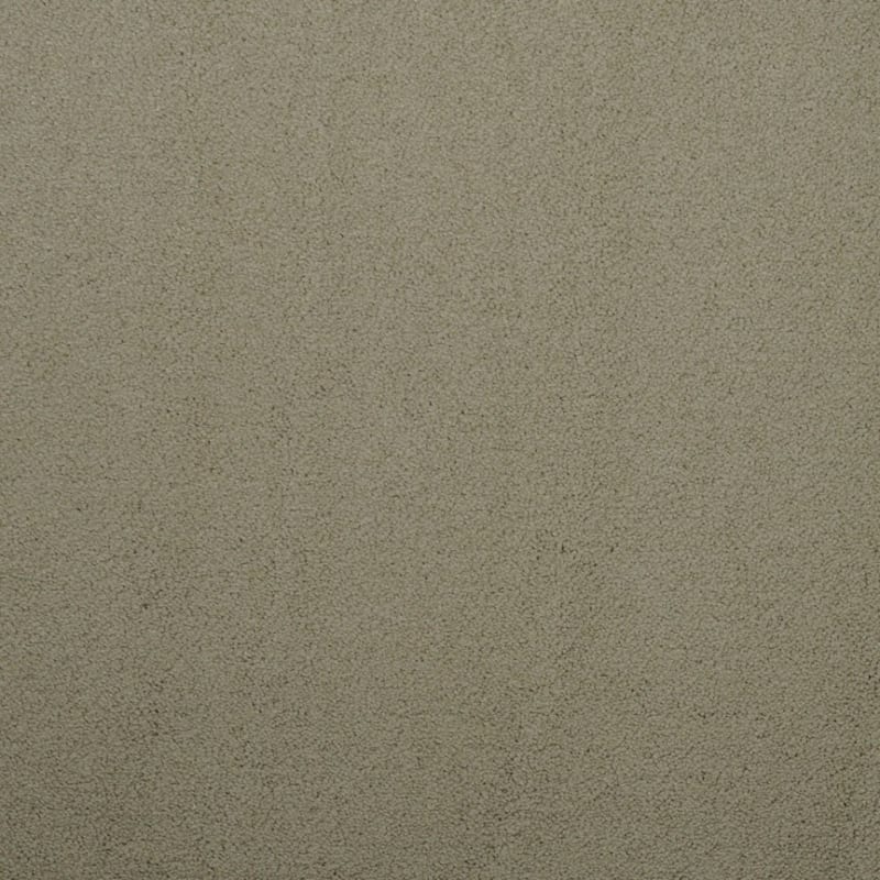 Silk Touch carpet by Masland