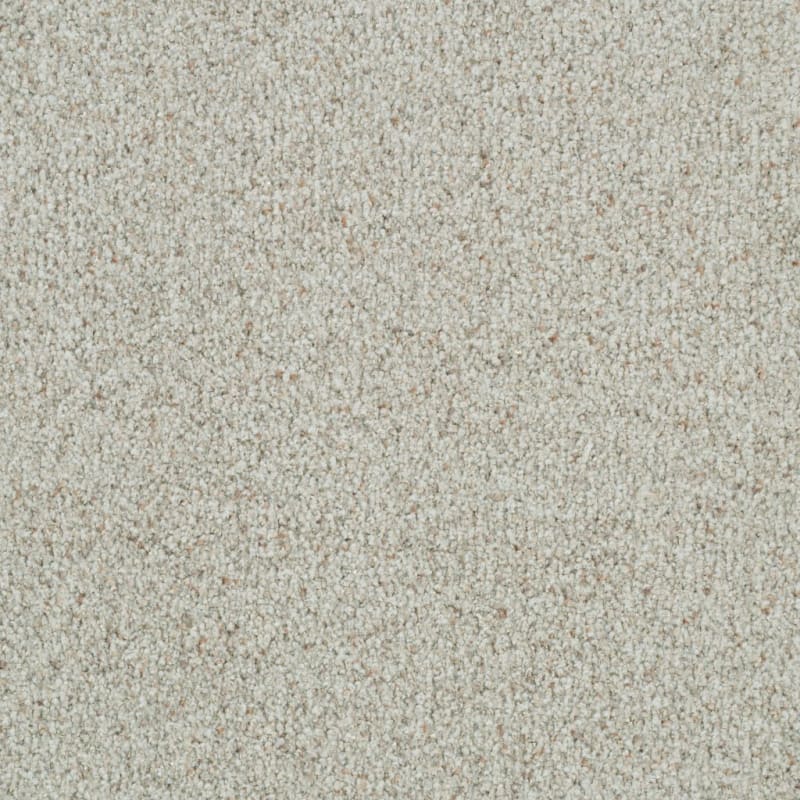 St. Augustine carpet by Masland
