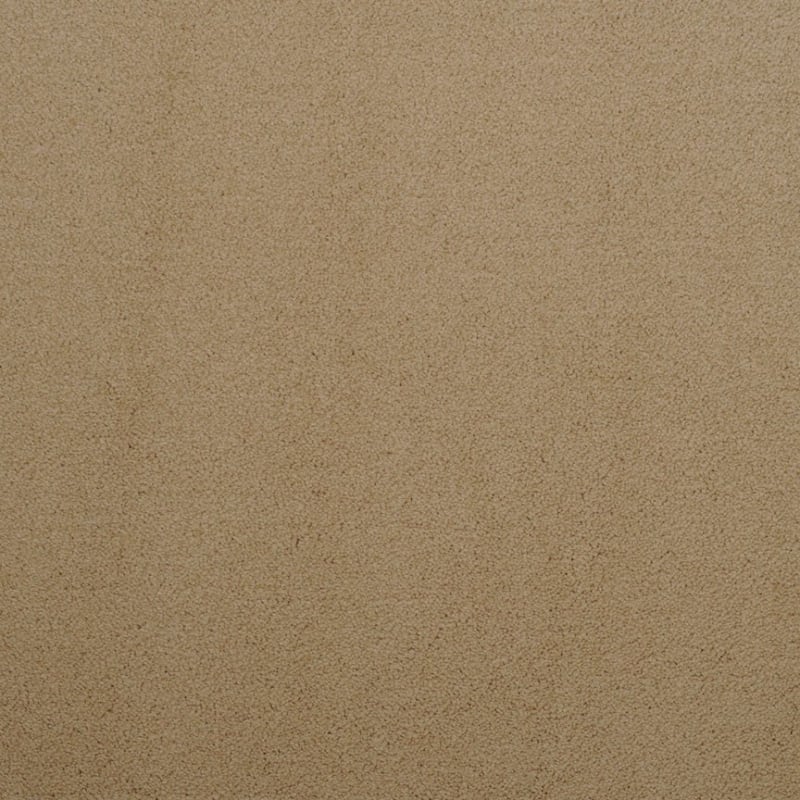 Silk Touch carpet by Masland