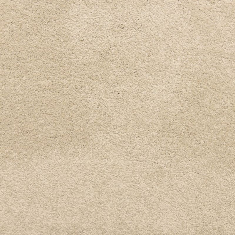 Knockout carpet by Masland