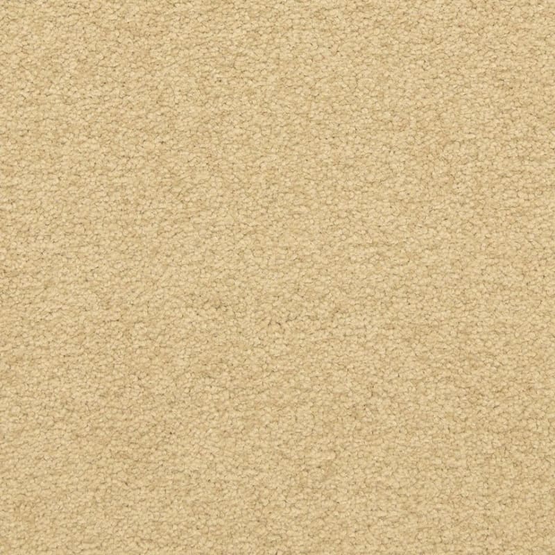 Patriot carpet by Masland