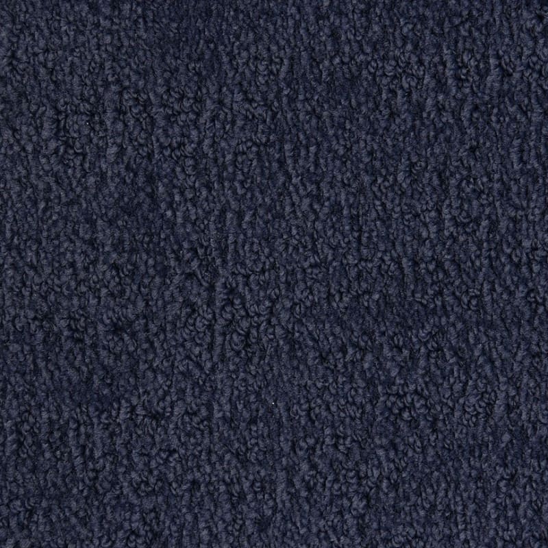 Santa Barbara carpet by Masland