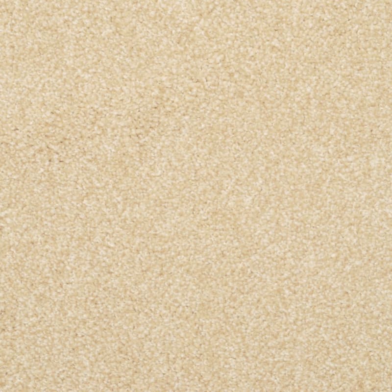 Beacon Hill carpet by Masland