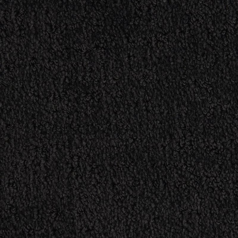 Santa Barbara carpet by Masland