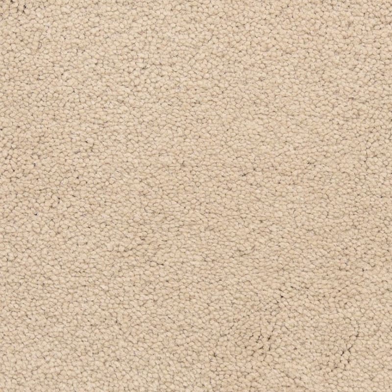 Ravishing carpet by Masland