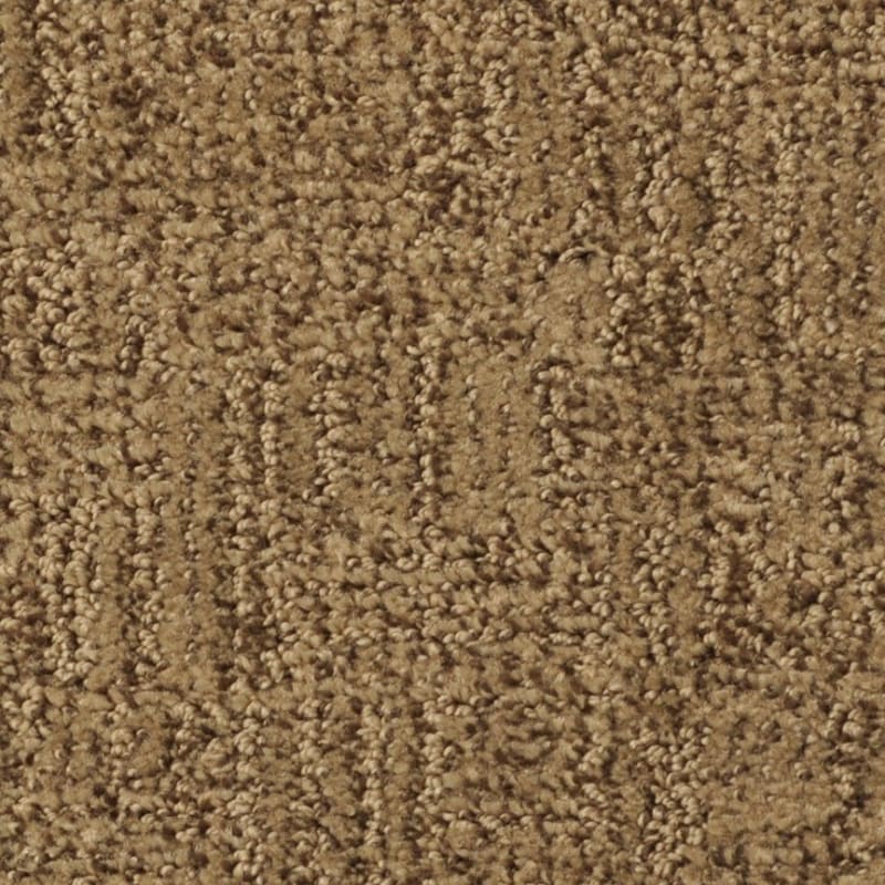 Casa Grande carpet by Masland