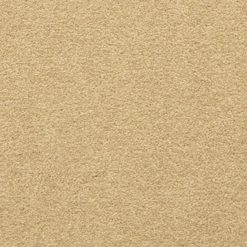 Patriot carpet by Masland