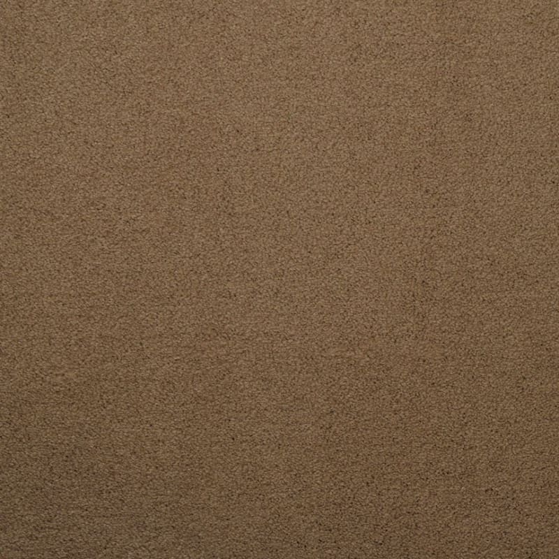 Silk Touch carpet by Masland