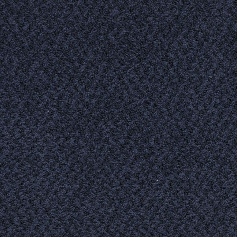 New Hope carpet by Masland