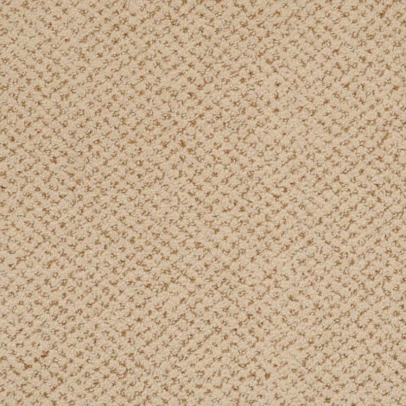 Montauk carpet by Masland