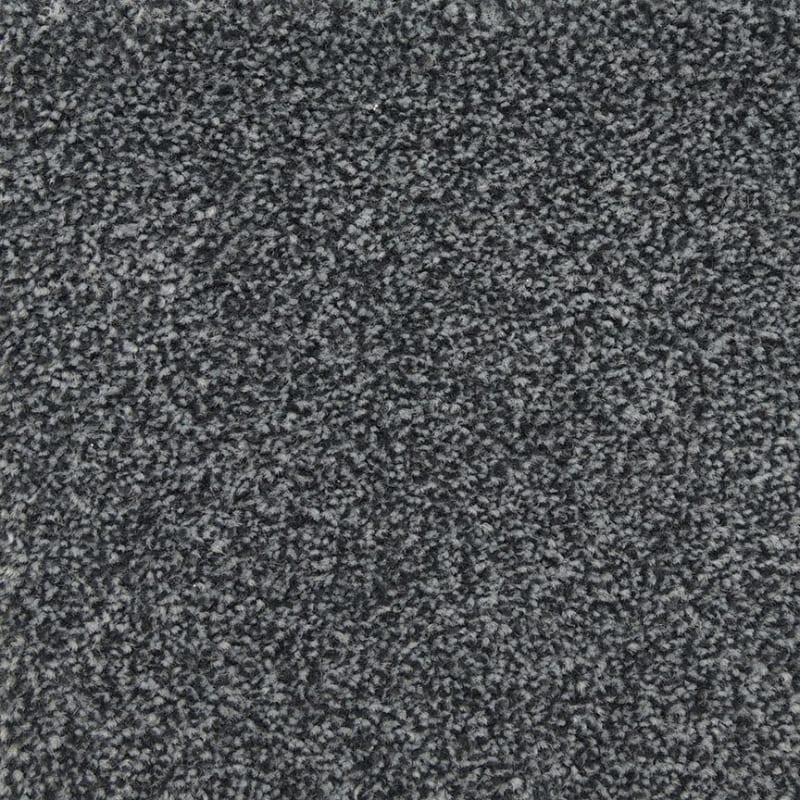 Delray carpet by Masland