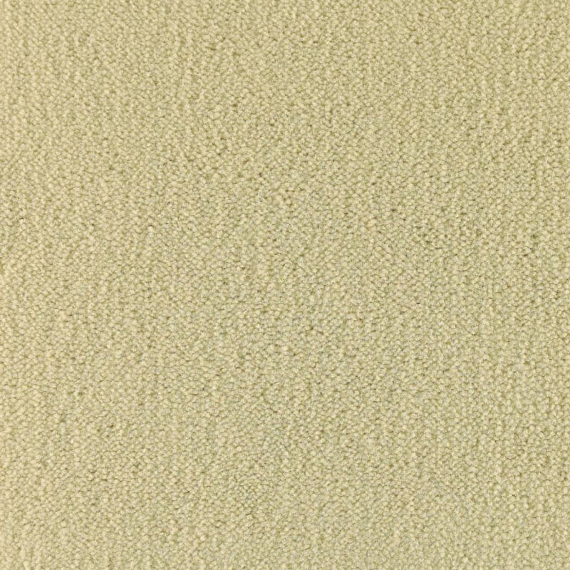 Panache carpet by Masland