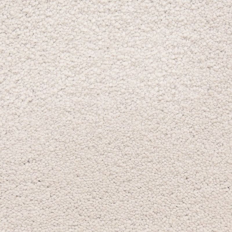 Ravishing carpet by Masland