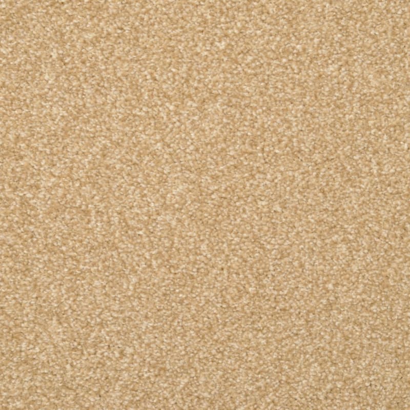 Beacon Hill carpet by Masland
