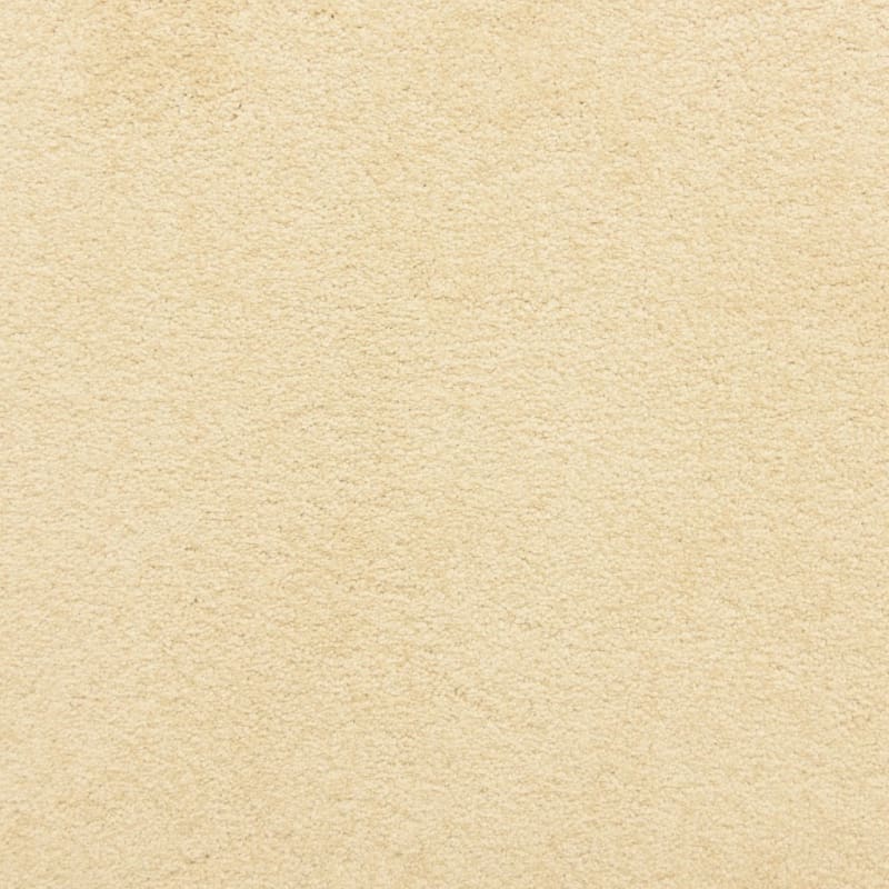 Knockout carpet by Masland