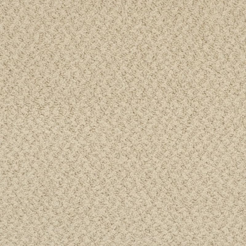 New Hope carpet by Masland