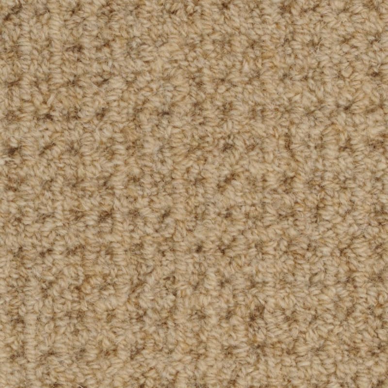Etchings carpet by Masland
