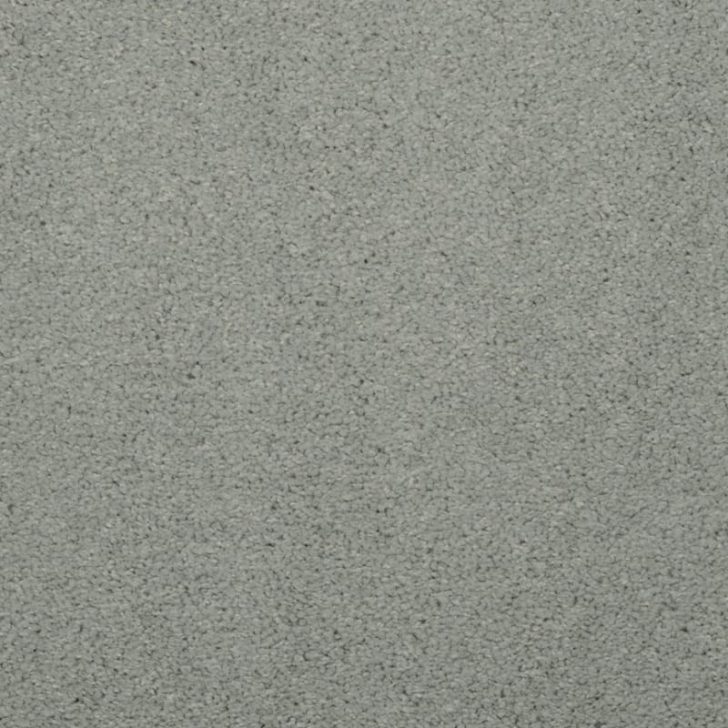Embrace carpet by Masland