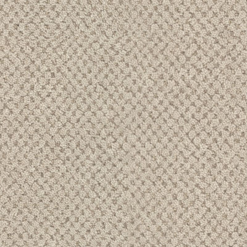 La Parade carpet by Masland
