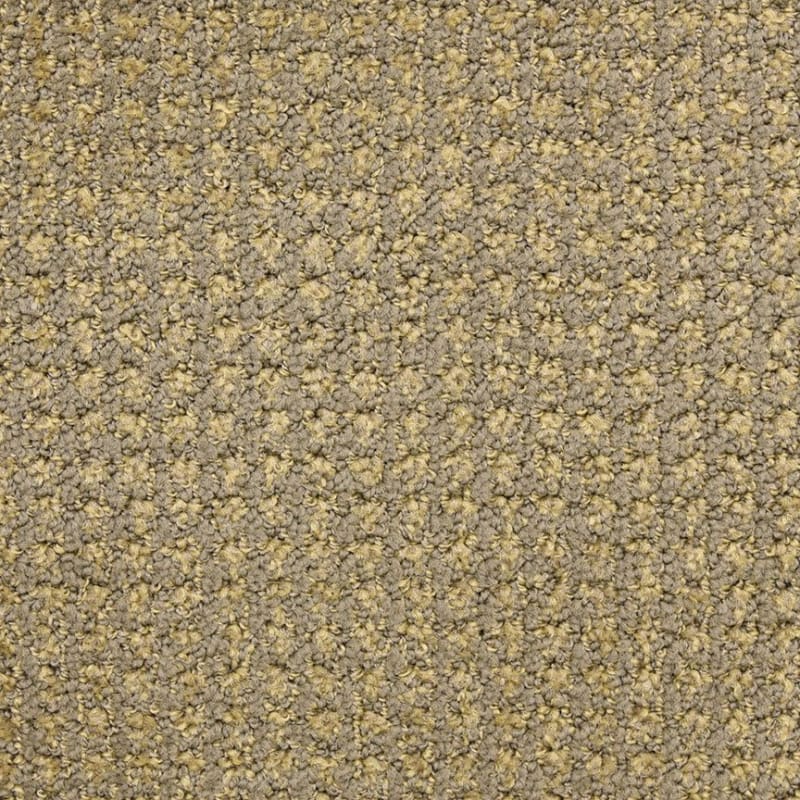 Alpha carpet by Masland
