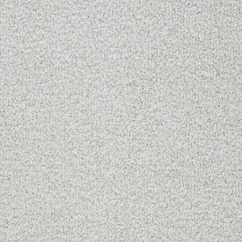 St. Augustine carpet by Masland