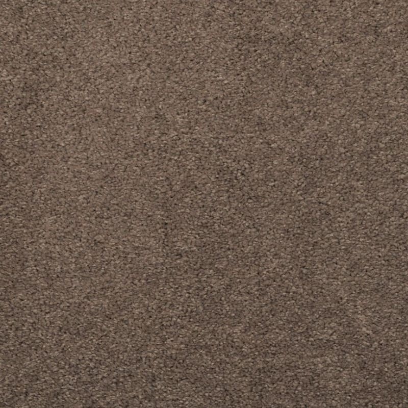 Embrace carpet by Masland