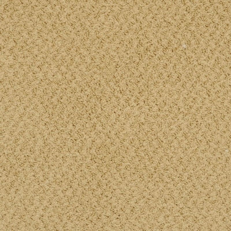 New Hope carpet by Masland