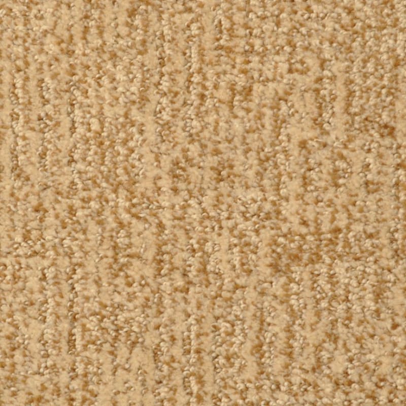 Casa Grande carpet by Masland