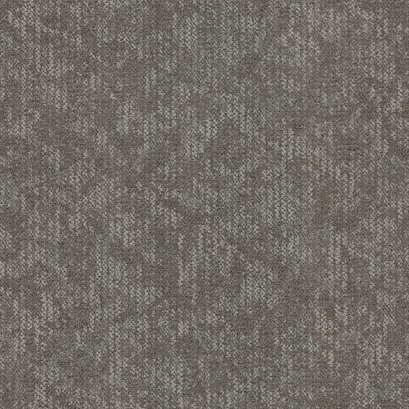 Coast carpet by Masland