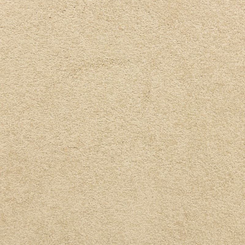 Knockout carpet by Masland