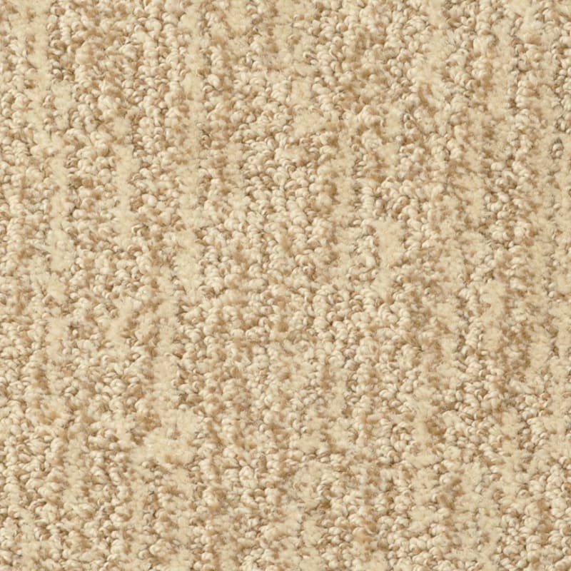 Mesa Verde carpet by Masland