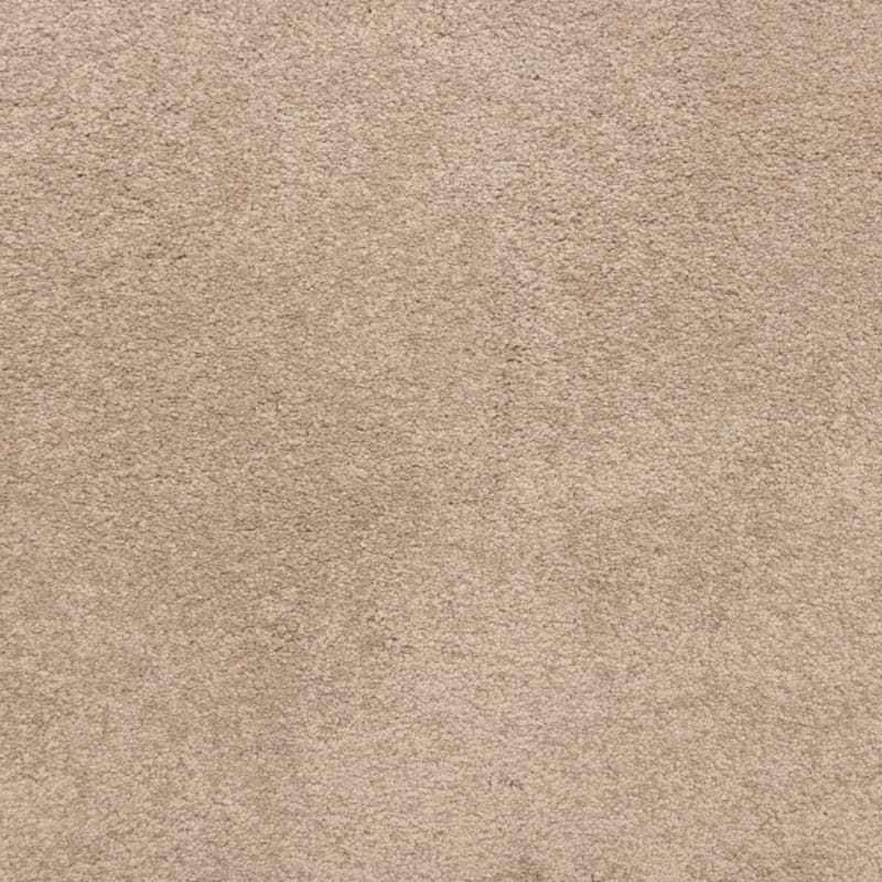 Knockout carpet by Masland