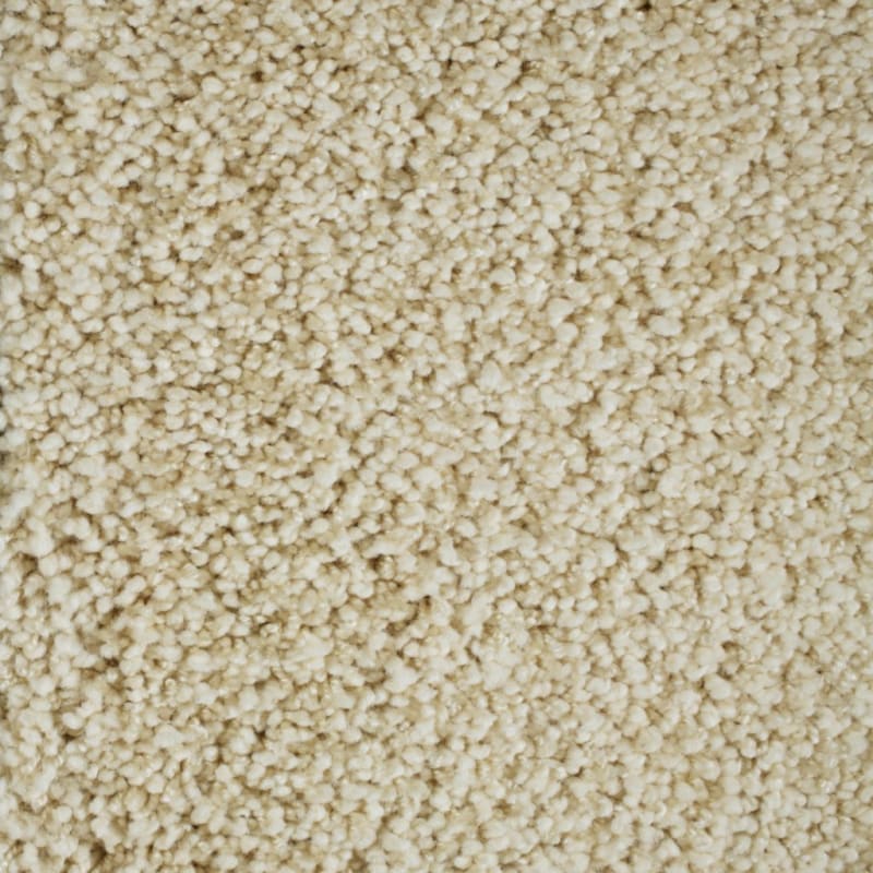 Shangri-La carpet by Masland