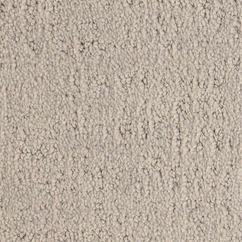 Santa Barbara carpet by Masland