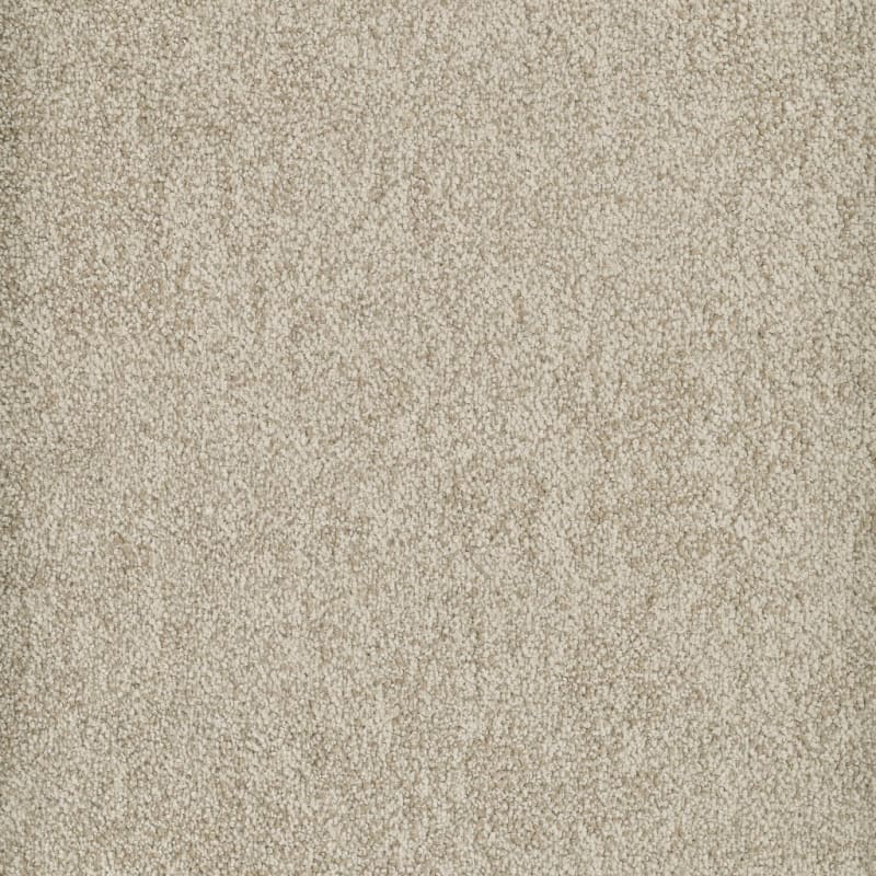 Buena Vida carpet by Masland