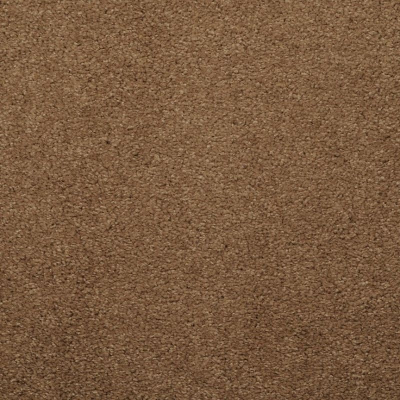 Embrace carpet by Masland