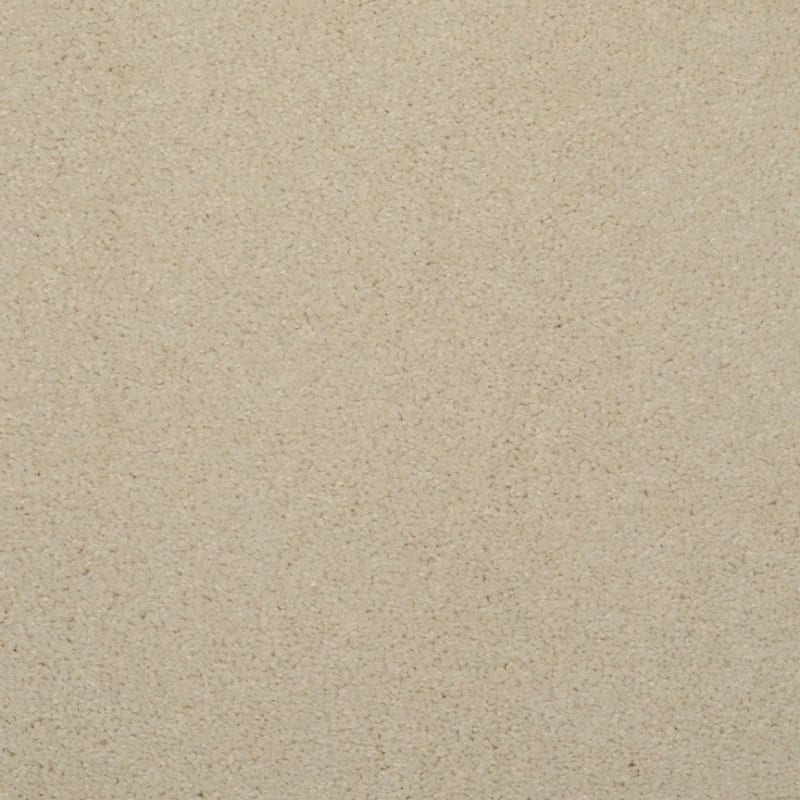 Embrace carpet by Masland