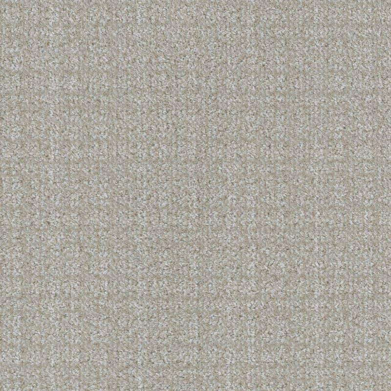 Purebred carpet by Masland