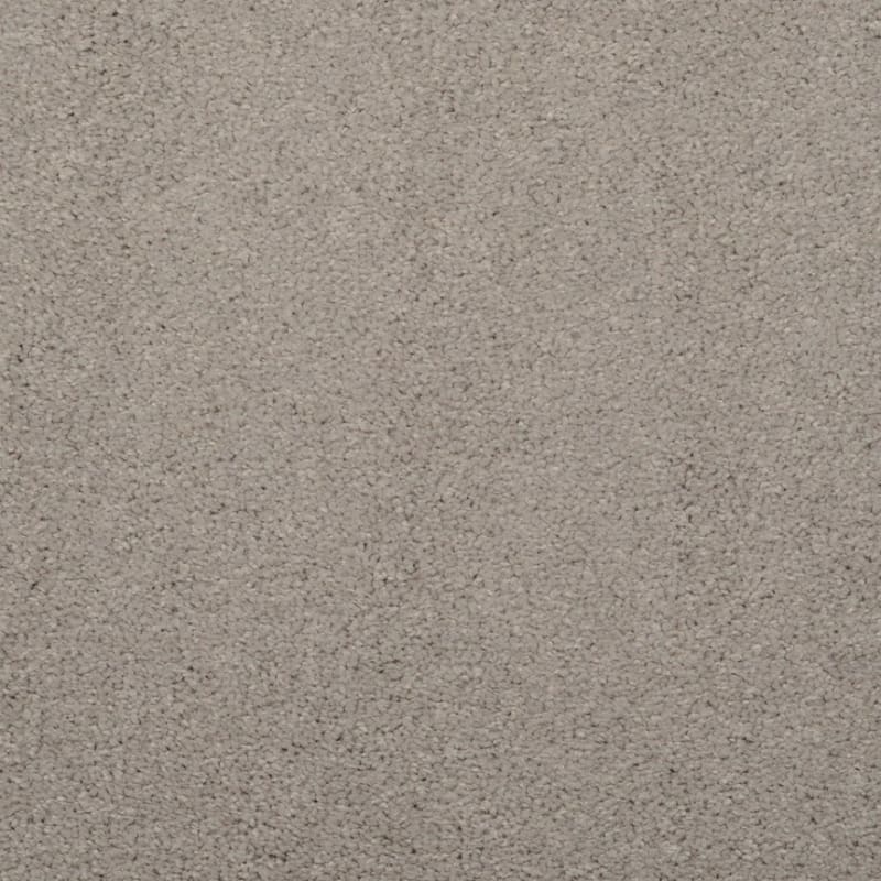 Embrace carpet by Masland