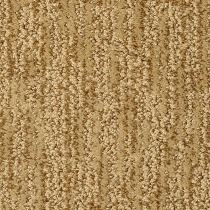 Mesa Verde carpet by Masland