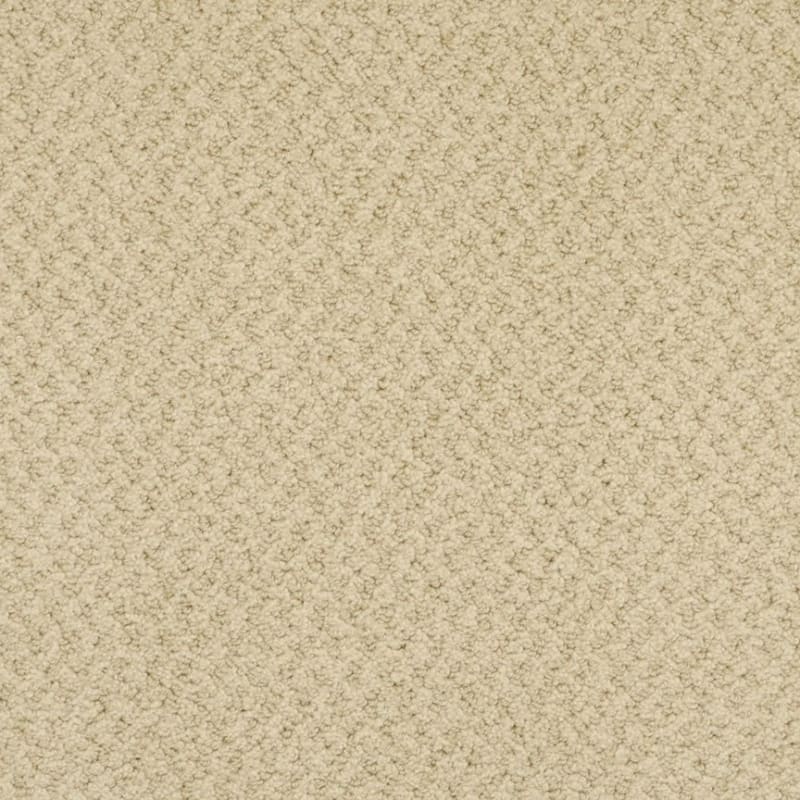 New Hope carpet by Masland