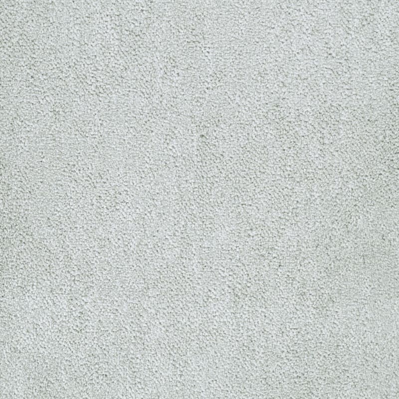 Buena Vida carpet by Masland