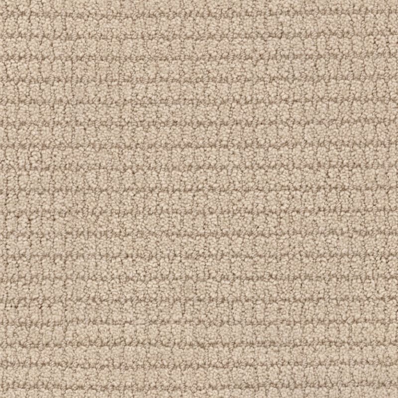 Defined carpet by Masland