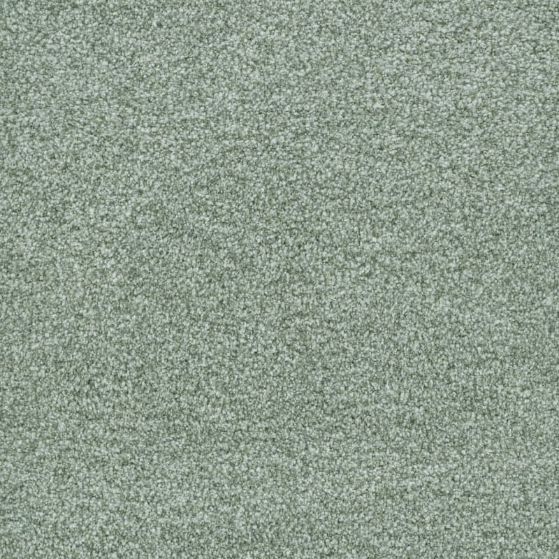 St. Augustine carpet by Masland
